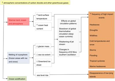 Individual variation, personality, and the ability of animals to cope with climate change